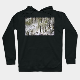 "Rebirth of a Forest" Abstract Found On Bark Hoodie